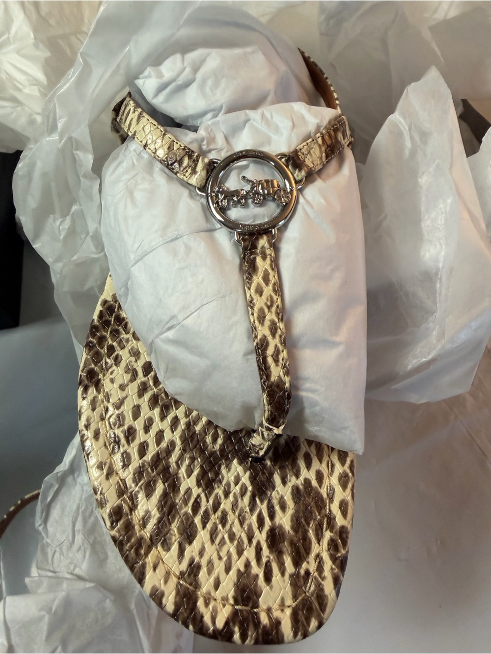 Coach Beige Brown Snake-Print T-Strap Sandal with Silver Logo - Picture 5 of 9
